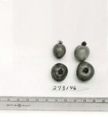Click for 1 image(s) for this accession. FRUIT